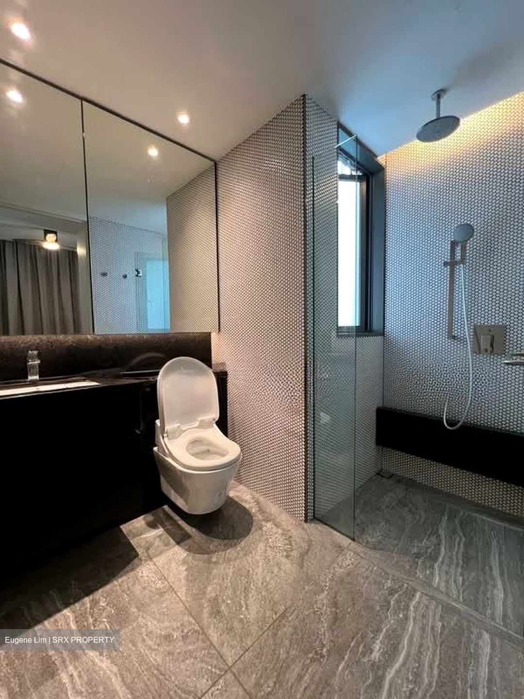 10 Evelyn (D11), Apartment #580927201